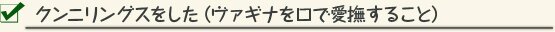 クンニリングスをした（ヴァギナを口で愛撫すること） 