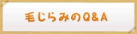 毛じらみのQ&A