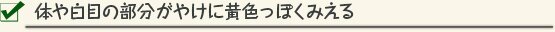 体や白目の部分がやけに黄色っぽくみえる
