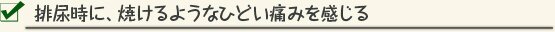 排尿時に、焼けるようなひどい痛みを感じる