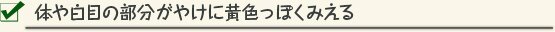 体や白目の部分がやけに黄色っぽくみえる